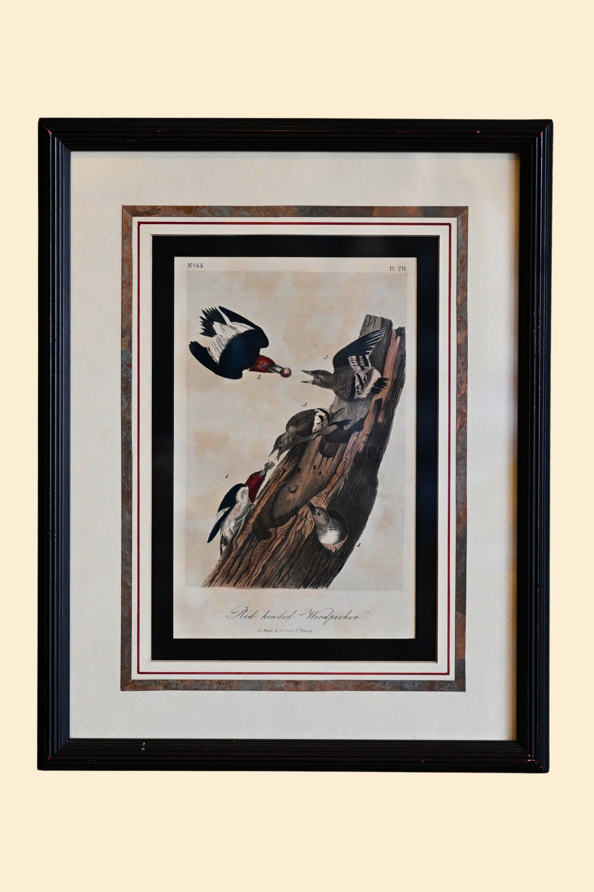 Woodpecker Framed Art
