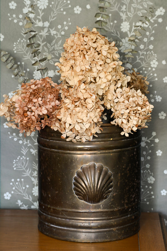 Brass Shell Bucket
