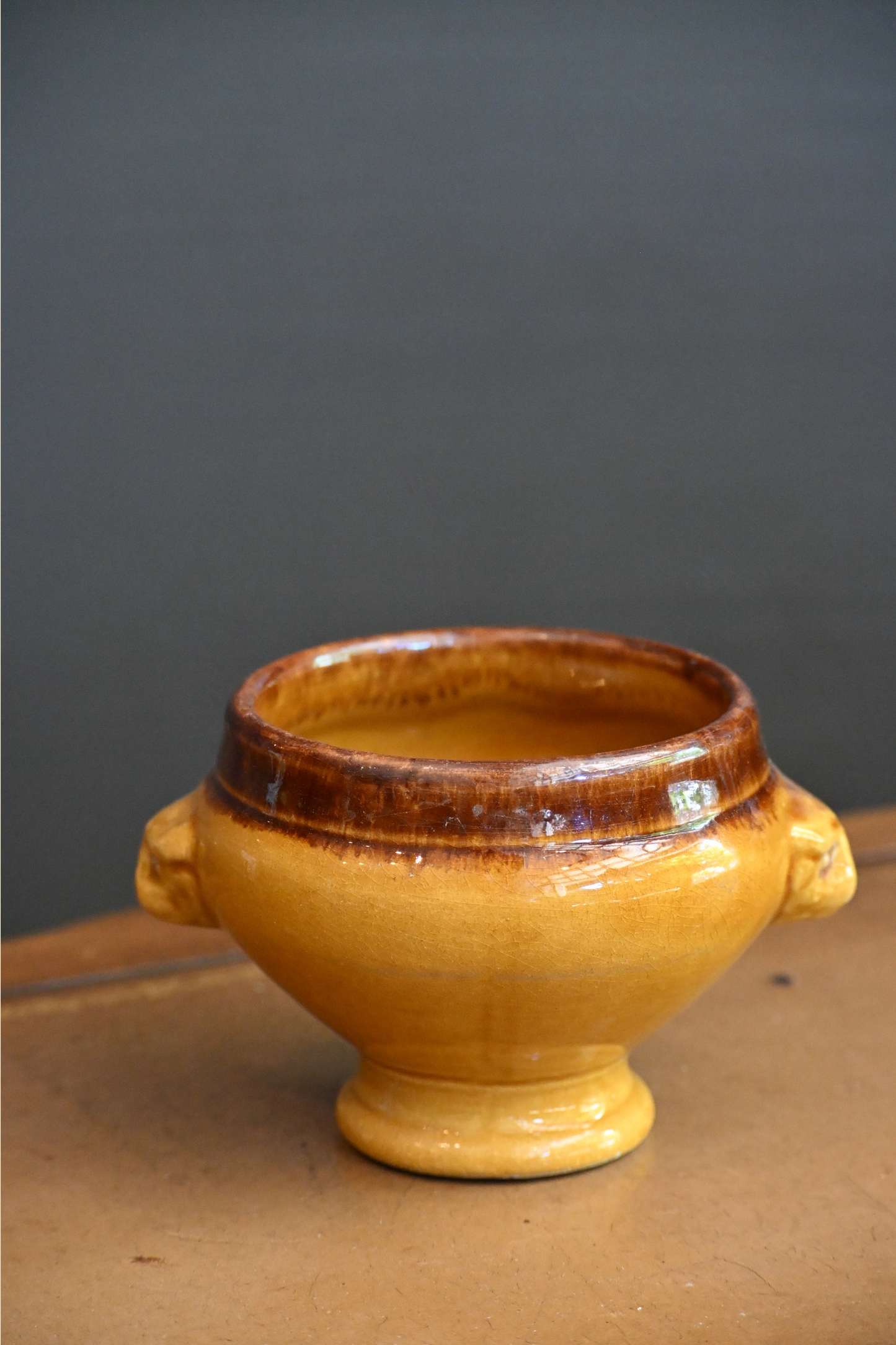 French Soup Bowl