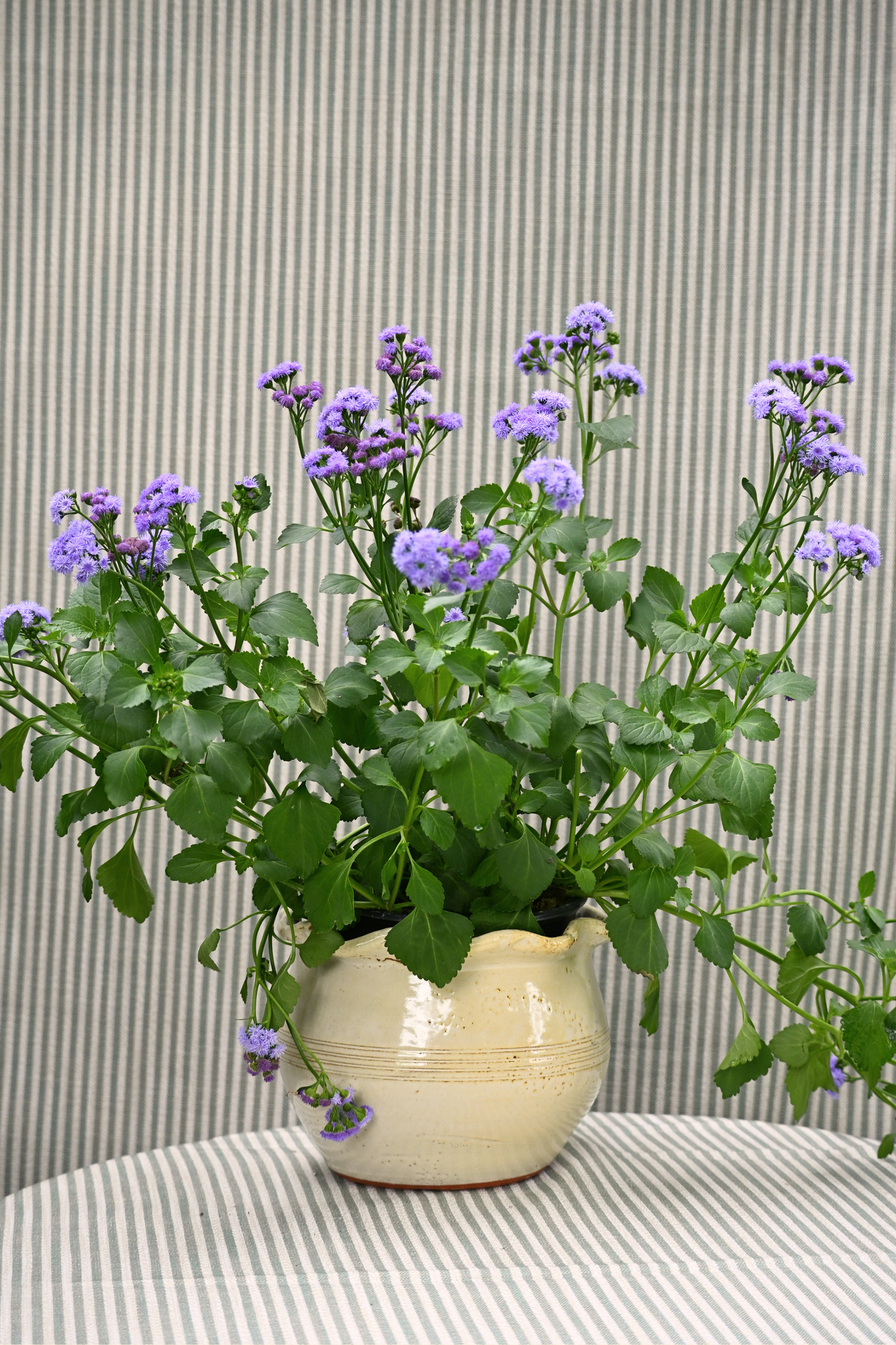 Large Bolick Planter