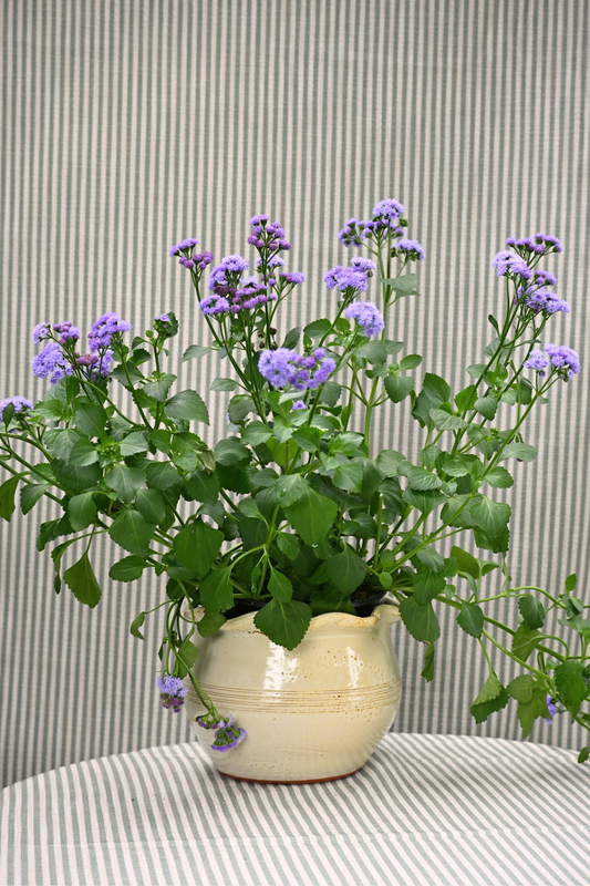 Large Bolick Planter
