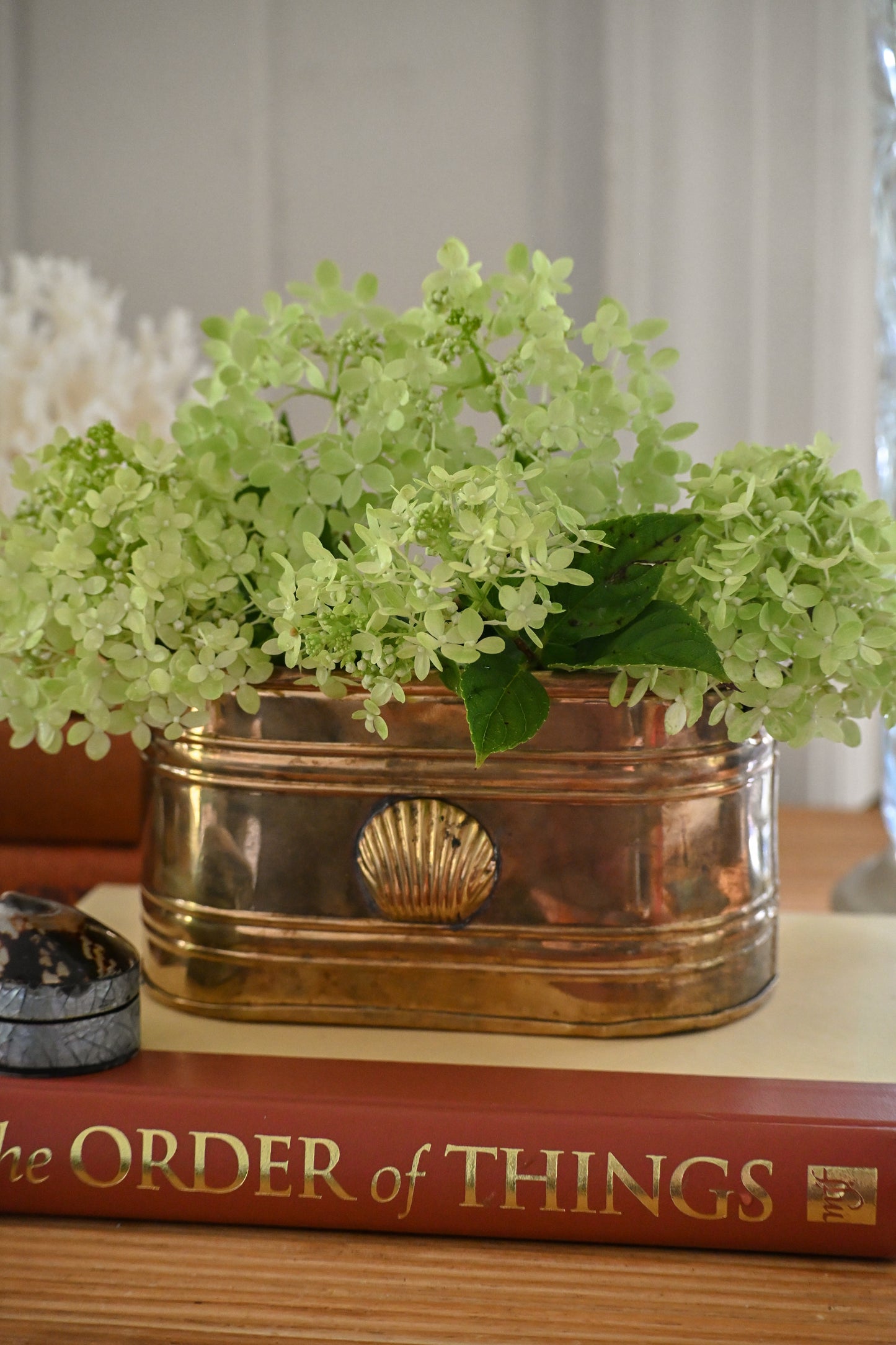 Brass Shell Oval Planter
