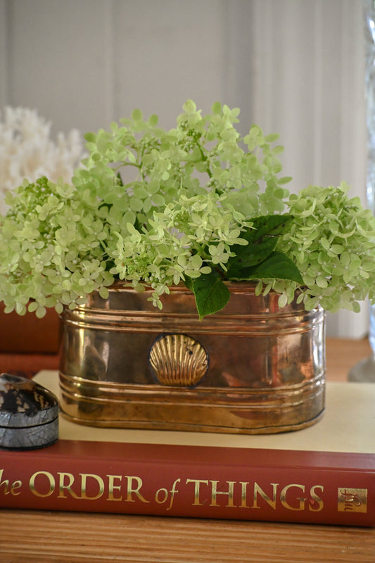 Brass Shell Oval Planter