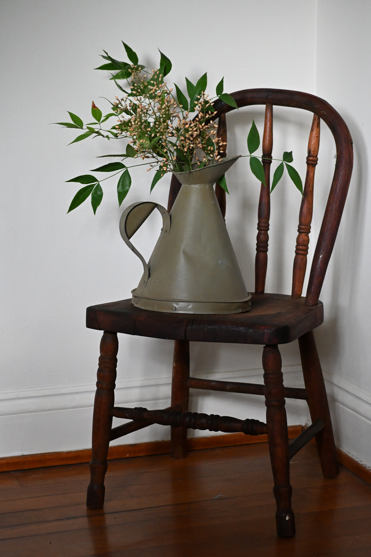 Olive Market Garden Pitcher