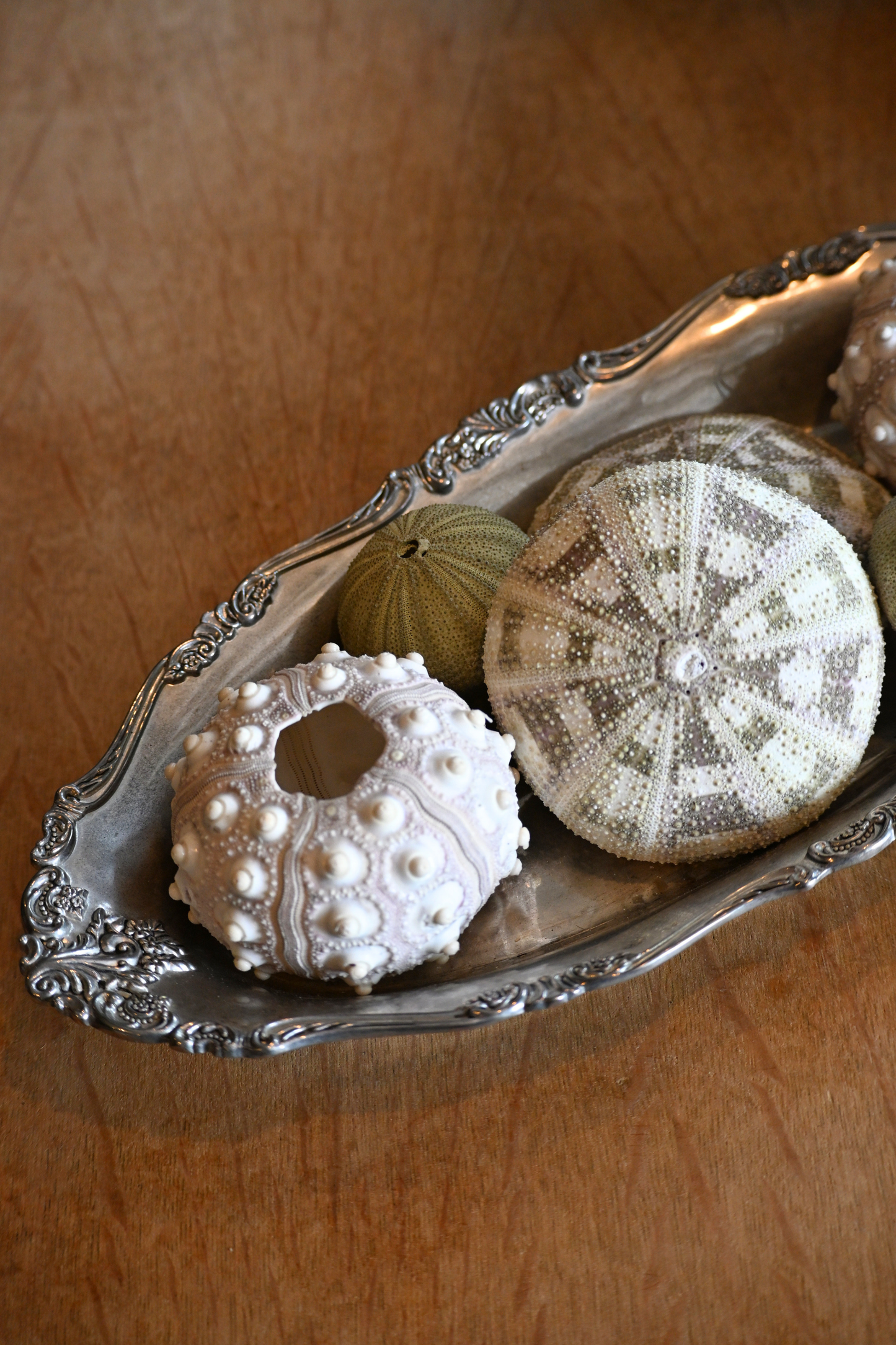 Silverplate Oval Tray