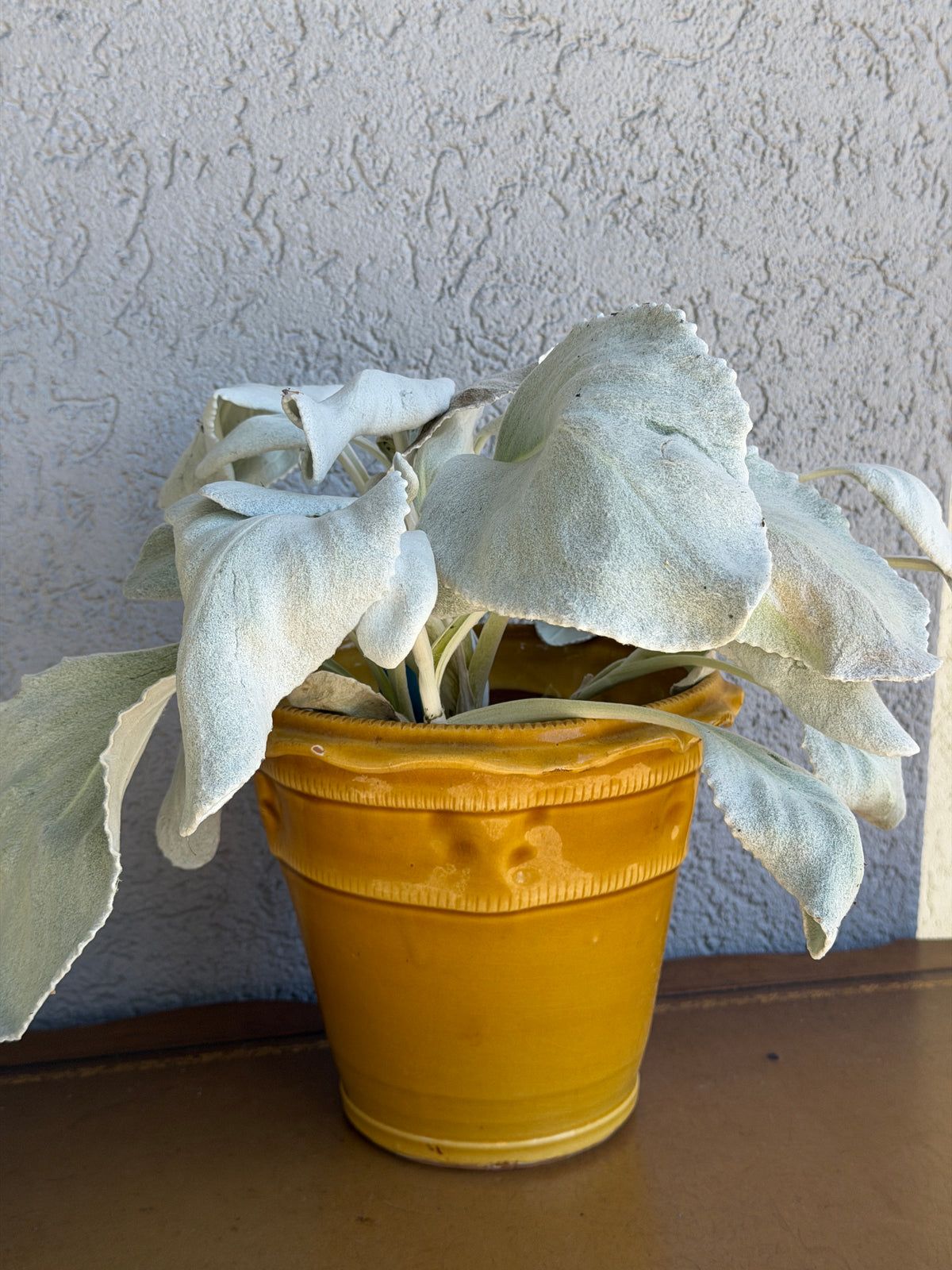 Italian Yellow Lipped Glazed Pot