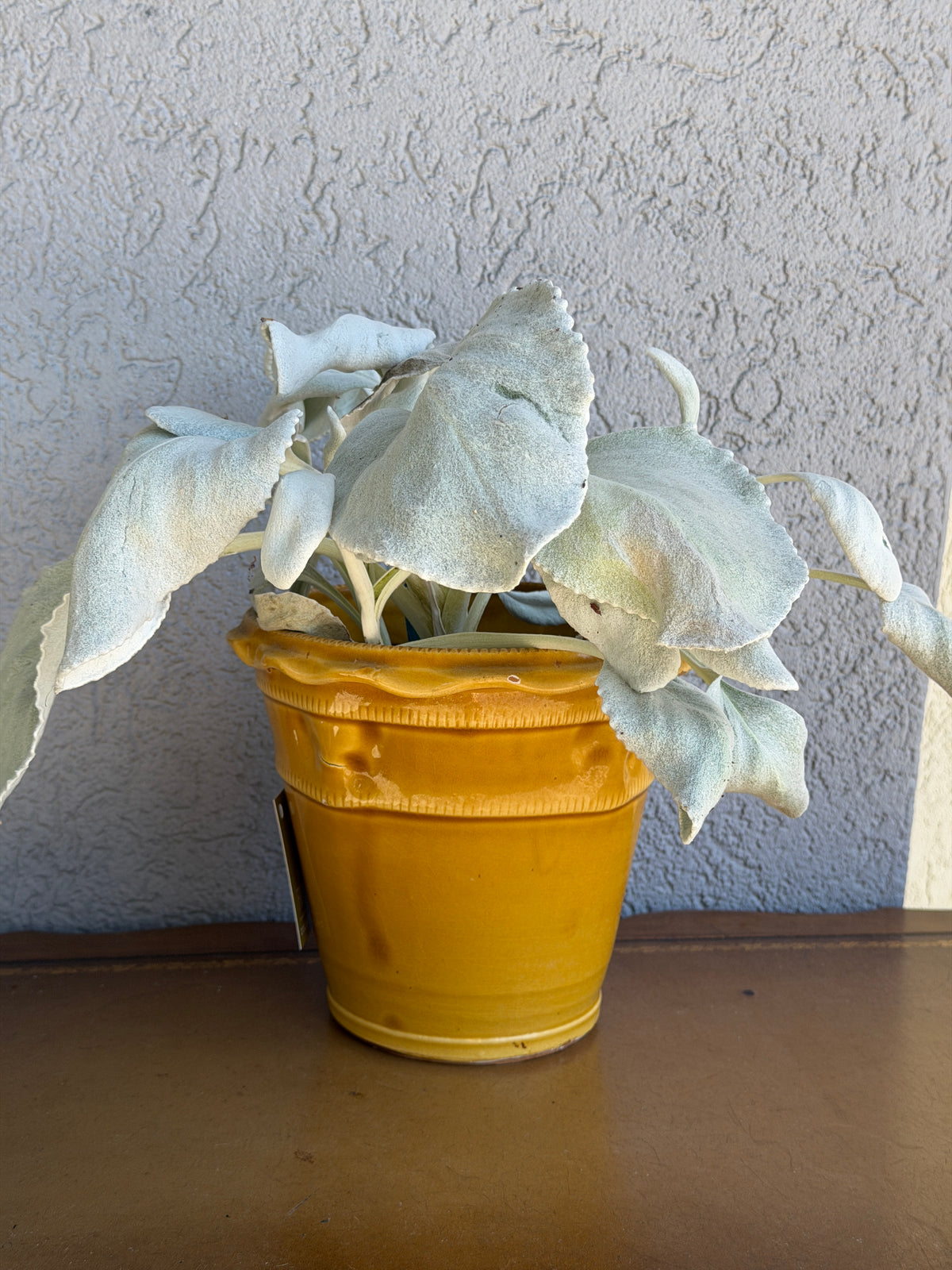 Italian Yellow Lipped Glazed Pot