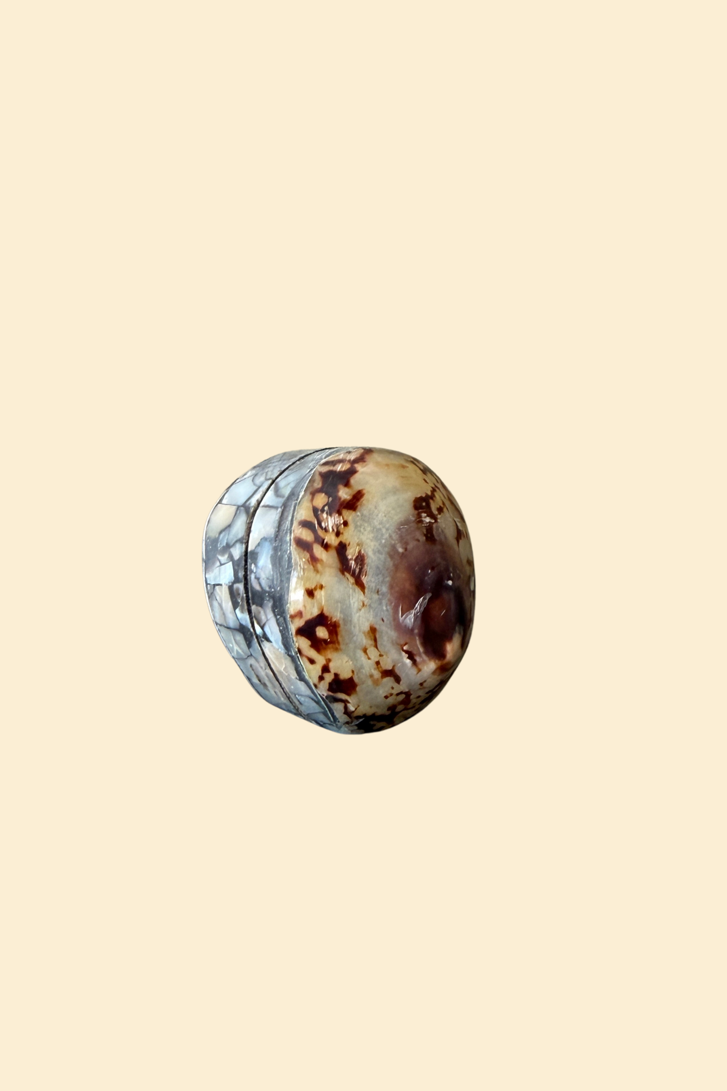 Limpet Shell Ring Box