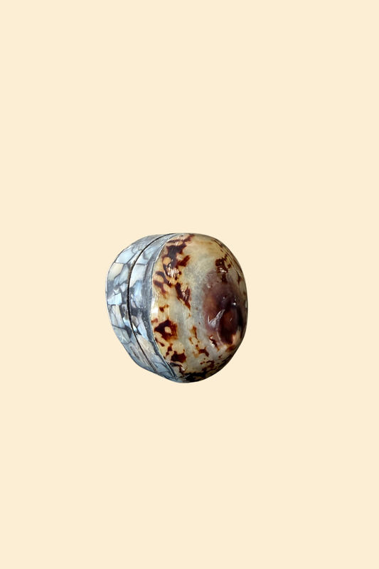 Limpet Shell Ring Box