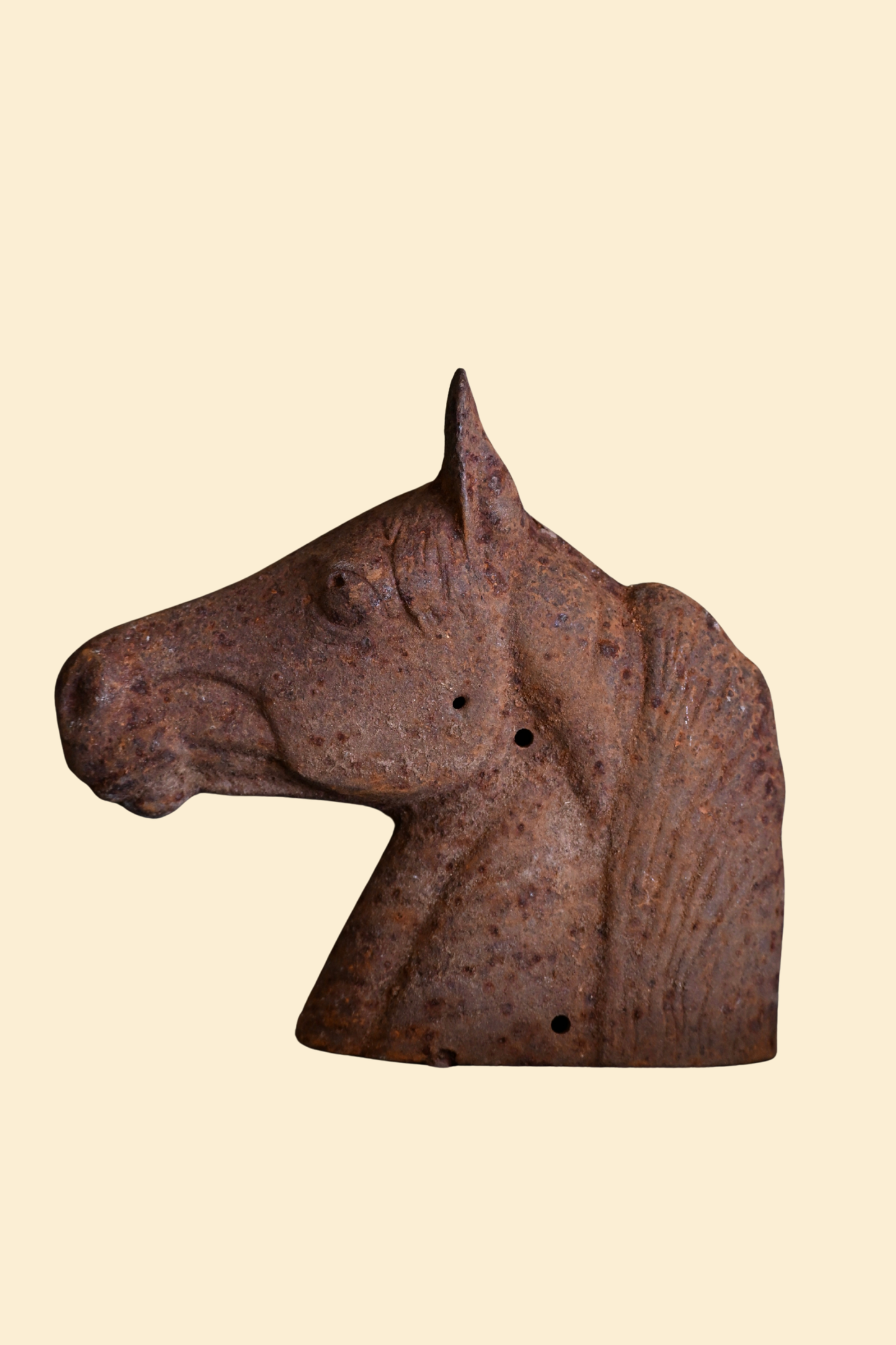 Cast Iron Horse Head