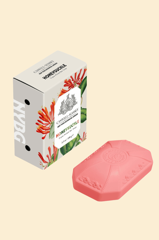 Honeysuckle Bar Soap: Single Soap